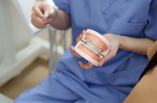 Orthodontic team member holding model with braces